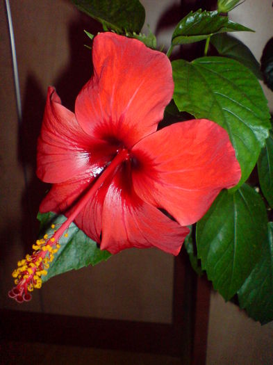 DSC00377