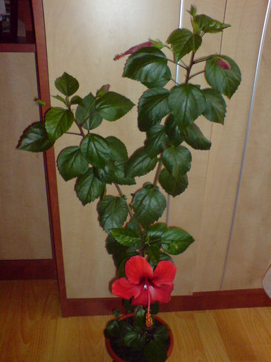 DSC00383