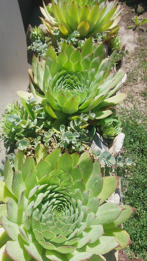 20150721_123153