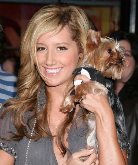 ashley-tisdale-holding-dog - vedete