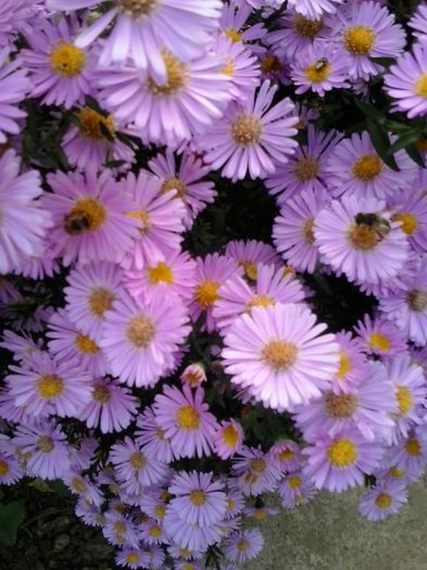 20150923_173412 - Copy