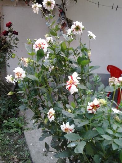 20150923_175755 - Copy