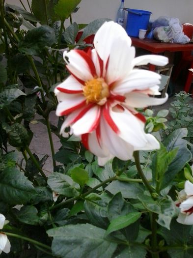 20150923_175801 - Copy