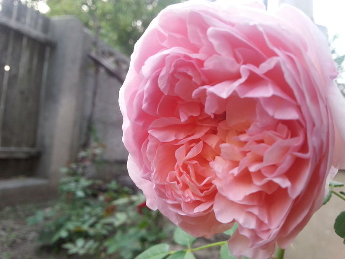 20150923_183227[1] - a shropshire lad