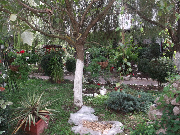 Picture 079