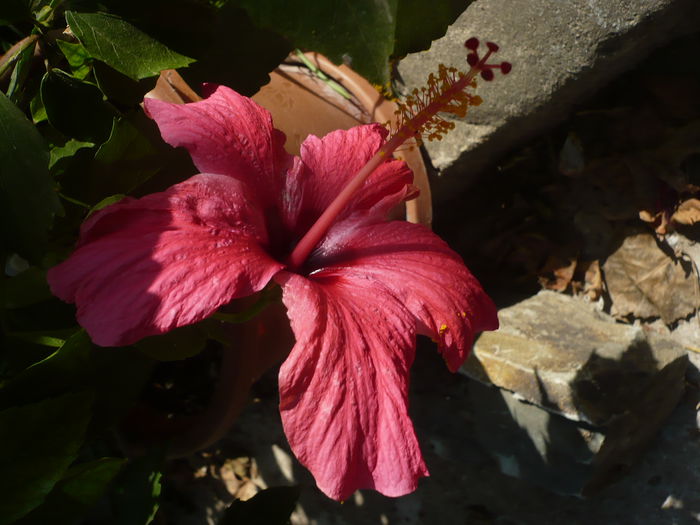 P1240248