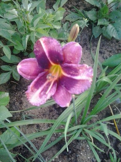 20150706_204128
