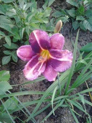 20150706_204130