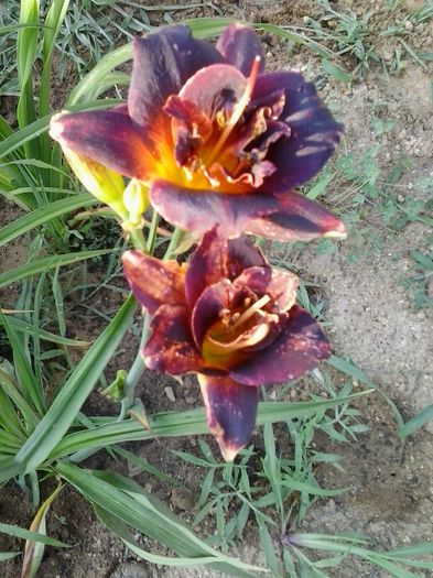 20150707_081016