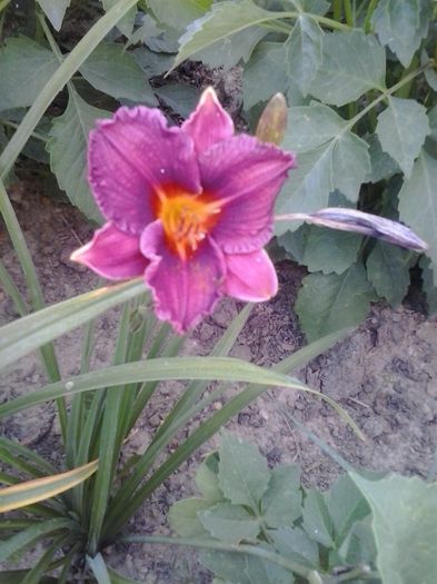 20150712_182345