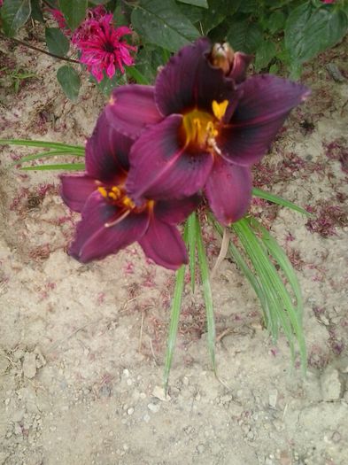 20150714_083240