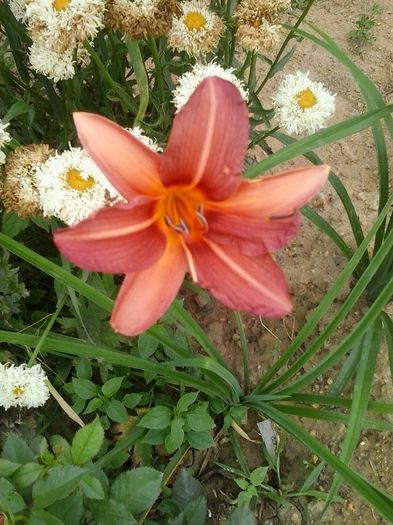20150714_083302