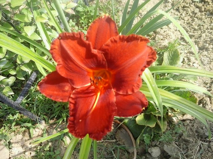 20150714_101517