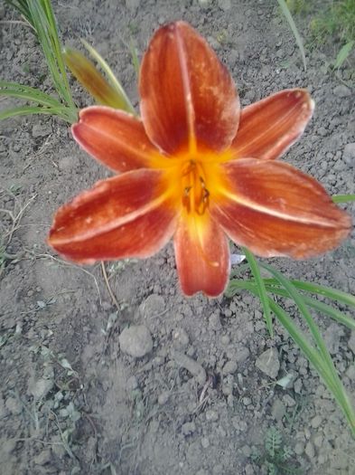20150716_193241