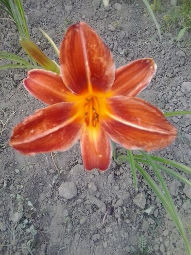 20150716_193243