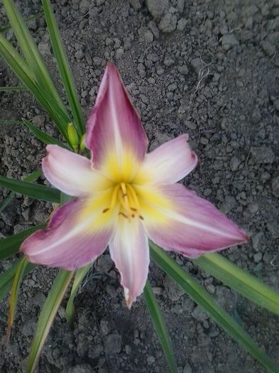 20150716_193255