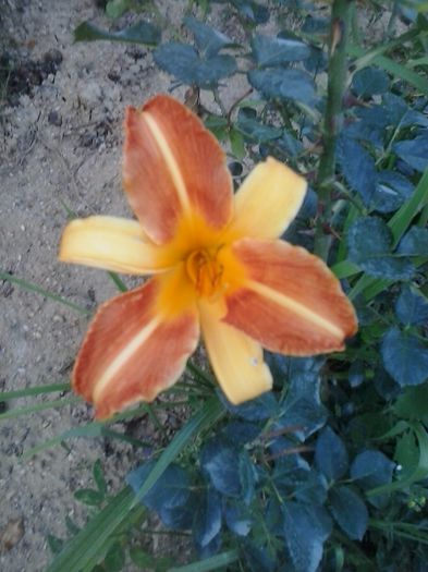 20150716_193521