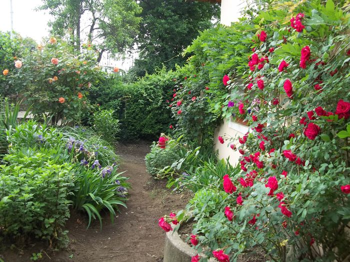 100_4736 - Copy