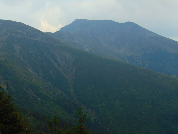 DSC09638
