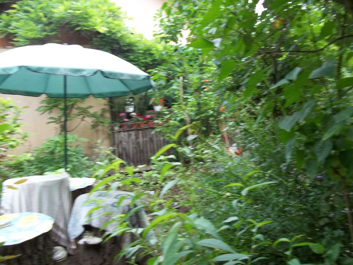100_4749 - Copy