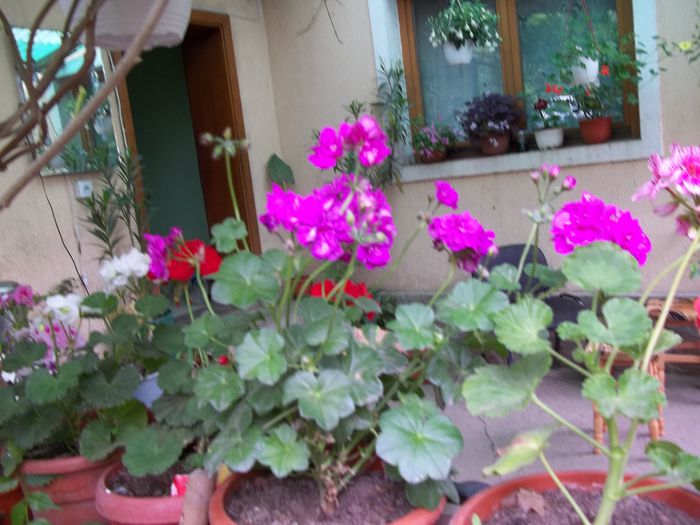 100_4757 - Copy