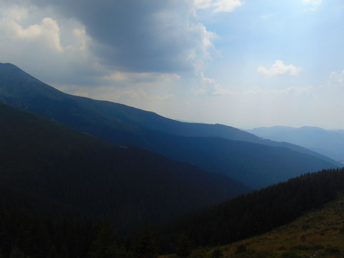 DSC09639