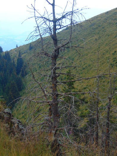 DSC09647