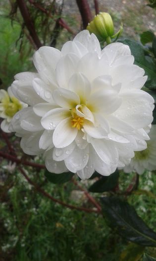20150926_094601