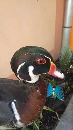 20150926_163441 - caroline 2015