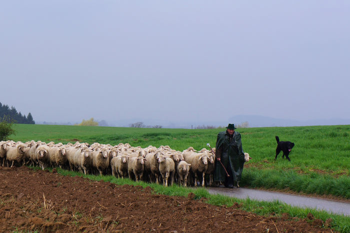 A venit si ploaia