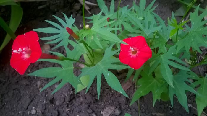 WP_20150621_09_58_37_Pro