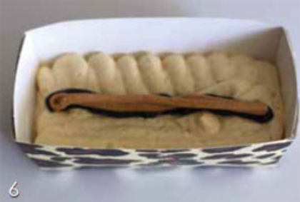 Pentru checul leopard 6 (2)