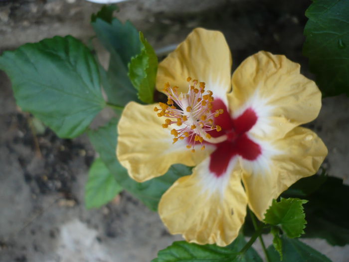 P1240276
