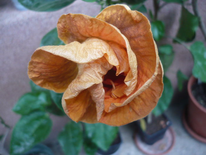 P1240277