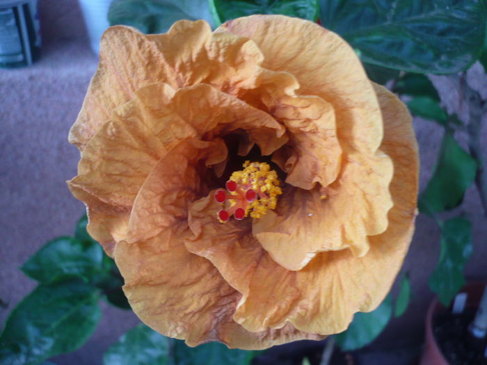 P1240283