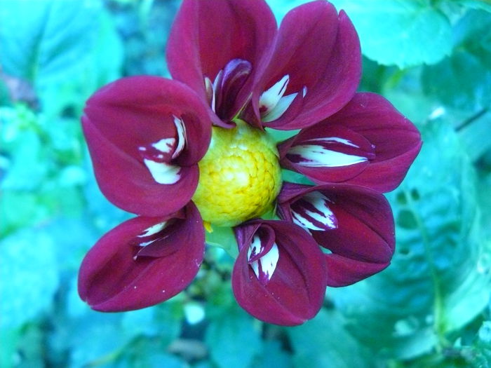 P1040384