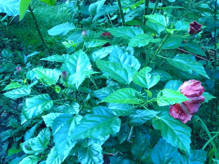 P1040395
