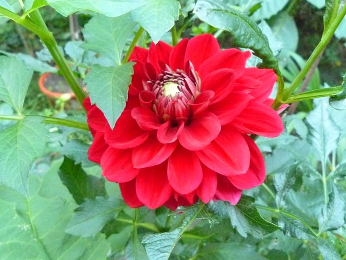 P1040411