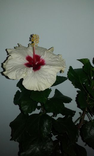 20150926_174934