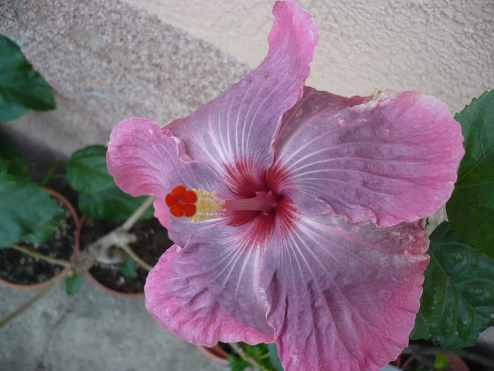 P1240284