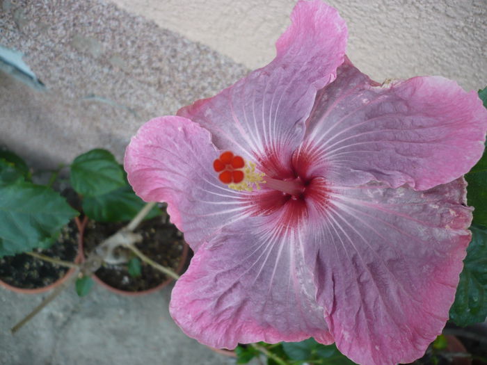 P1240301