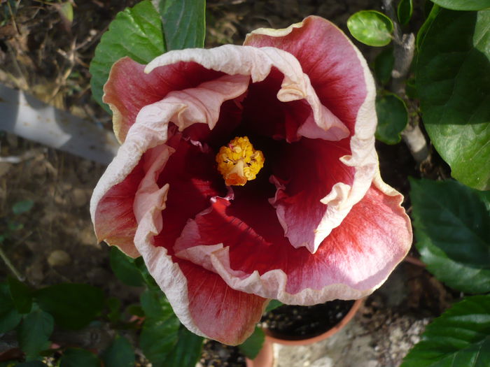 P1240295