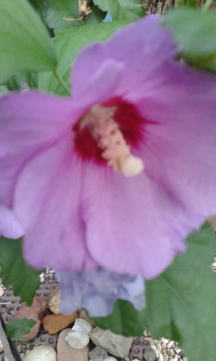 20150926_190642