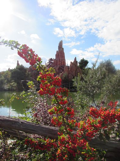 IMG_8738 - Disneyland Paris