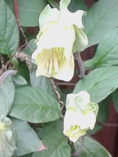 20150927_131702