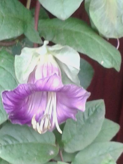 20150927_131712