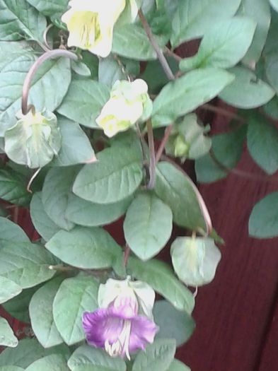 20150927_131725
