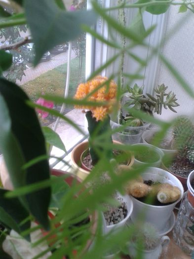 20150927_165019