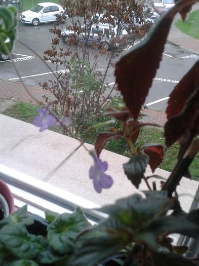 20150927_165128