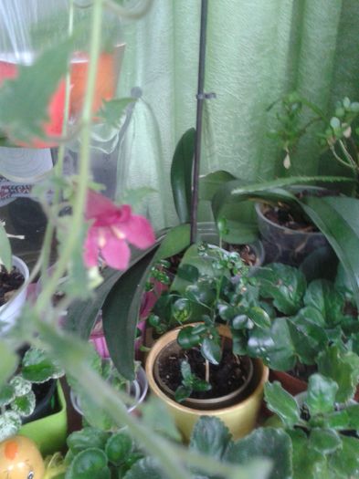 20150927_165145
